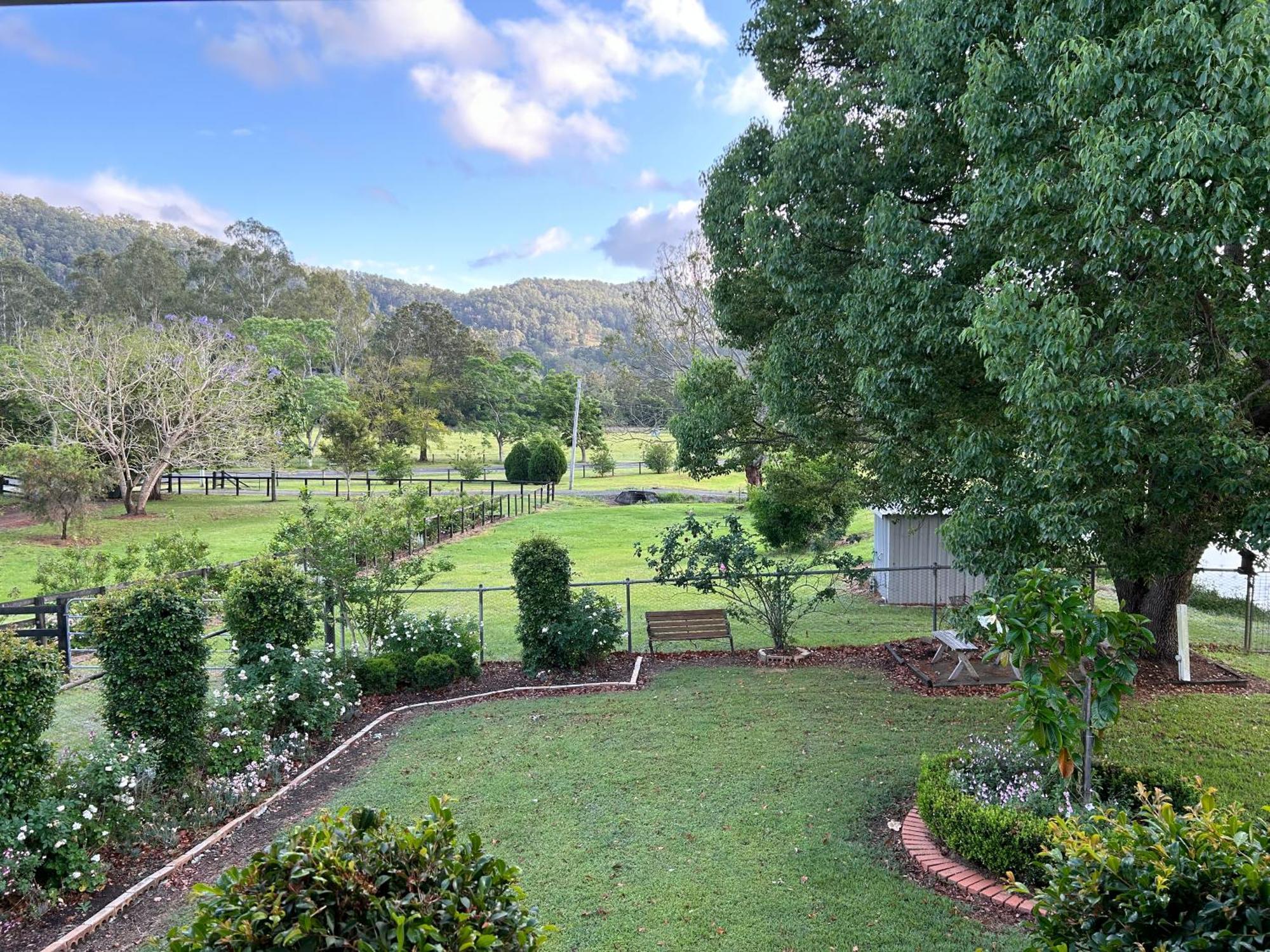 Cottage On Lamington Canungra Esterno foto